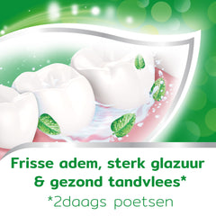 Aquafresh Tandpasta anti caries 75 Milliliter