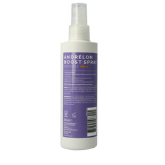 Andrelon Krul booster spray 200 Milliliter