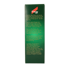 Fresh Up Original roller 100.00 Milliliter