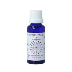 Vita Syntheses 107 alpha bewustzijn 30.00 Milliliter