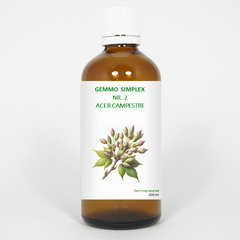 Balancepharma Gemmo simplex 2 acer campestre 100 Milliliter
