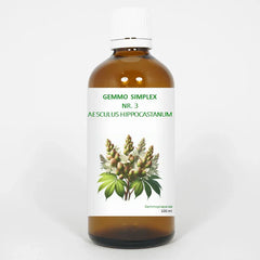 Balancepharma Gemmo simplex 3 aesculus hippocastanum 100 Milliliter