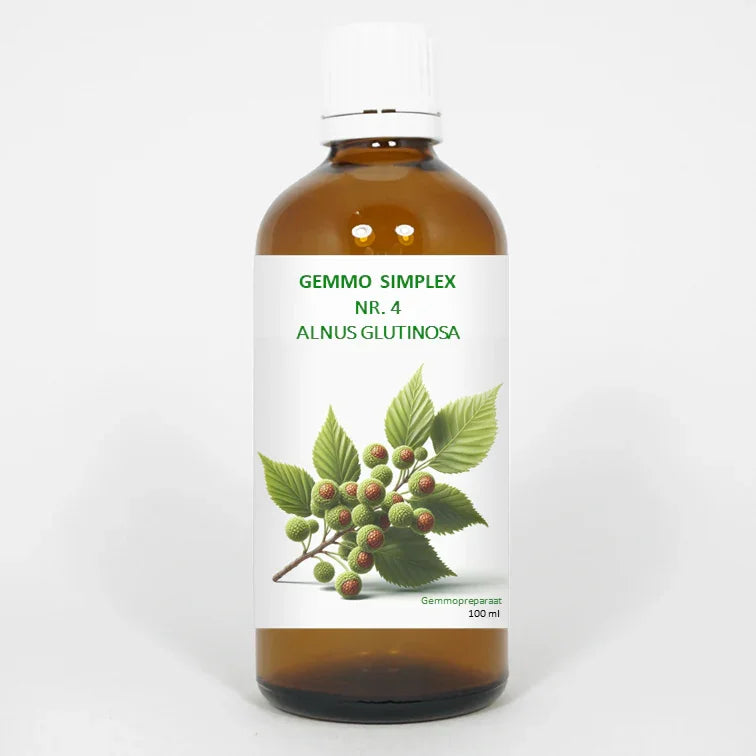 Balancepharma Gemmo simplex 4 alnus glutinosa 100 Milliliter