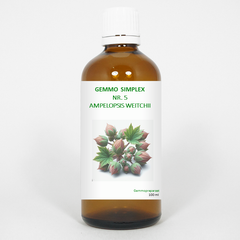 Balancepharma Gemmo simplex 5 ampelopsis weitchii 100.00 Milliliter