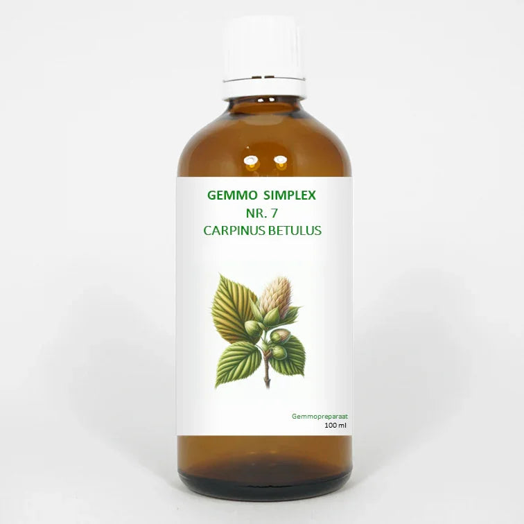 Balancepharma Gemmo simplex 7 carpinus betulus 100 Milliliter