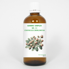 Balancepharma Gemmo simplex 11 crataegus oxyacantha 100 Milliliter