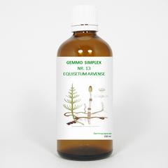 Balancepharma Gemmo simplex 13 equisetum arvense 100.00 Milliliter