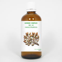 Balancepharma Gemmo simplex 14 fagus sylvatica 100 Milliliter