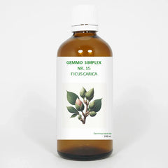 Balancepharma Gemmo simplex 15 ficus carica 100 Milliliter