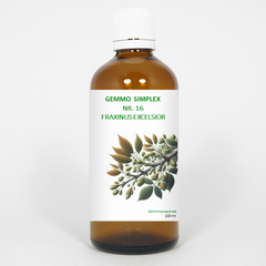Balancepharma Gemmo simplex 16 fraxinus excelsior 100 Milliliter