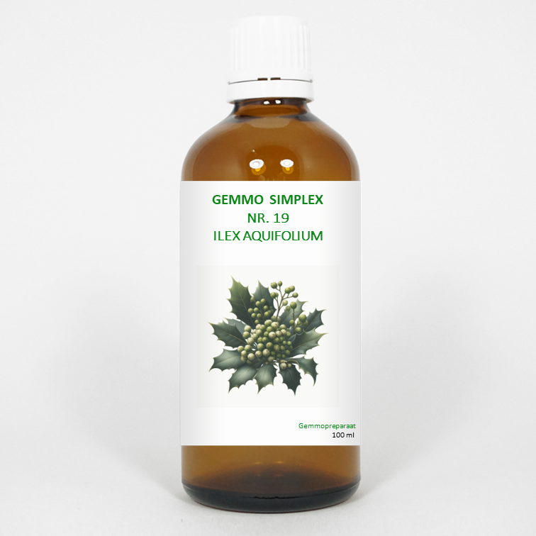 Balancepharma Gemmo simplex 19 ilex aquifolium 100.00 Milliliter