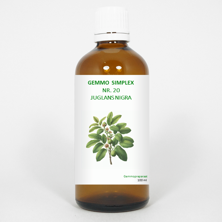 Balancepharma Gemmo simplex 20 juglans nigra 100.00 Milliliter