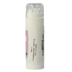 Balancepharma Gluten allergoplex 6 Gram