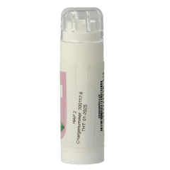 Balancepharma Gluten allergoplex 6.00 Gram