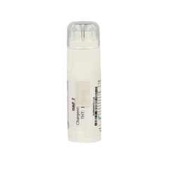 Balancepharma Pollen stof allergoplex 6.00 Gram