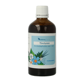 Balancepharma Arctostaphylos uva-ursi tincturen 100 Milliliter