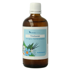 Balancepharma Astragalus membranaceus tincturen 100 Milliliter