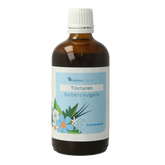 Balancepharma Berberis vulgaris tincturen 100 Milliliter