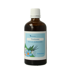 Balancepharma Betula pubescens tincturen 100.00 Milliliter
