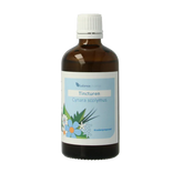 Balancepharma Cynara scolymus tincturen 100 Milliliter