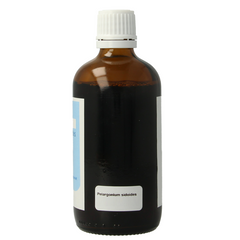 Balancepharma Pelargonium sidoides tincturen 100.00 Milliliter