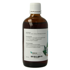 Balancepharma Plantago lanceolata tincturen 100.00 Milliliter