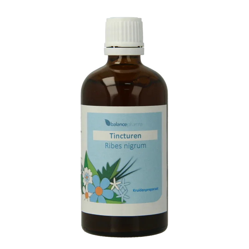Balancepharma Ribes nigrum tincturen 100 Milliliter