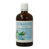 Balancepharma Ribes nigrum tincturen 100 Milliliter