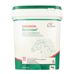 Primeval Gelatinaat paard 5.00 Kilogram