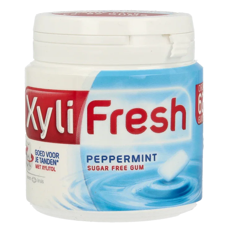 Xylifresh Peppermint 93 Gram