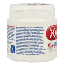 Xylifresh Peppermint 93 Gram