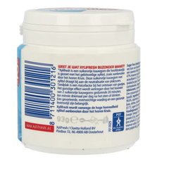 Xylifresh Peppermint 93 Gram