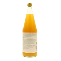 Luna E Terra Appelsap natuurtroebel bio dem 1 Liter