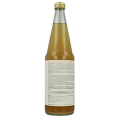 Luna E Terra Appelsap met gember natuurtroebel demeter bio 700 Milliliter