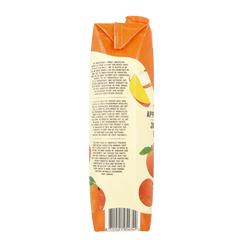 Your Organic Nature Appel mango sap bio 1 Liter