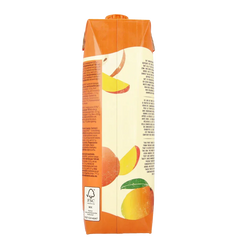 Your Organic Nature Appel mango sap bio 1 Liter