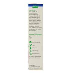 A Vogel Echinaforce herstellende creme 30.00 Gram