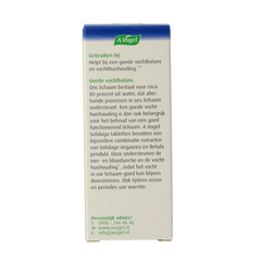 A Vogel Solidago 60.00 Tabletten