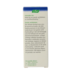 A Vogel Solidago 60 Tabletten