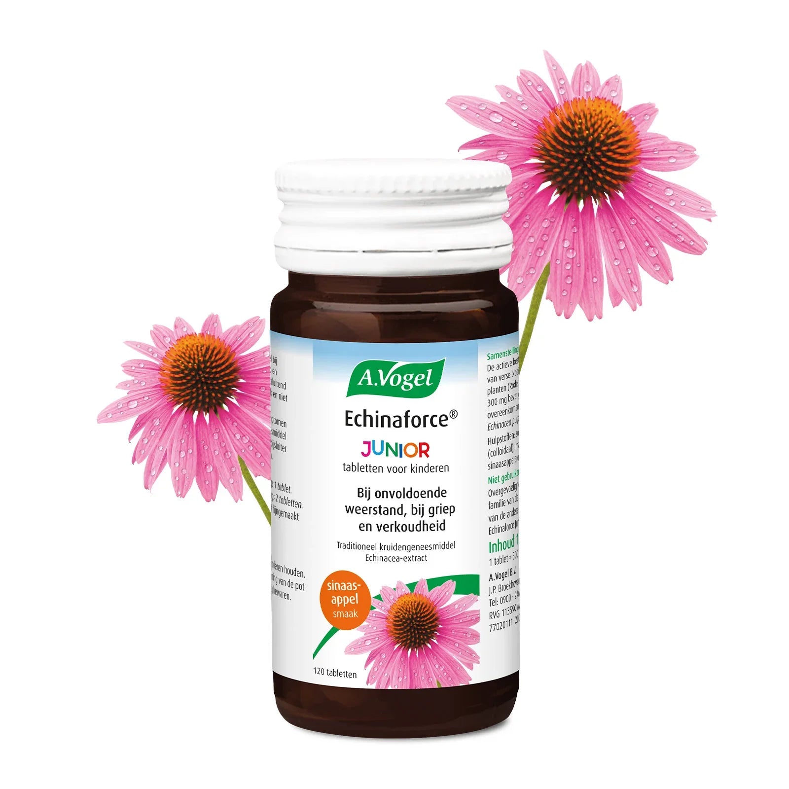 A Vogel Echinaforce junior 120 Tabletten