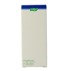 A Vogel Pollinosan 30 Tabletten