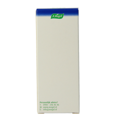 A Vogel Pollinosan 30.00 Tabletten