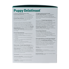 Primeval Gelatinaat puppy 350.00 Gram