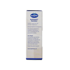 Wapiti Antimetil gember 30.00 Tabletten