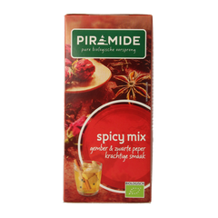 Piramide Spicy thee eko bio 20 Zakjes
