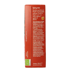 Piramide Spicy thee eko bio 20 Zakjes