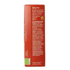 Piramide Spicy thee eko bio 20 Zakjes