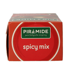 Piramide Spicy thee eko bio 20 Zakjes