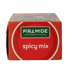 Piramide Spicy thee eko bio 20 Zakjes