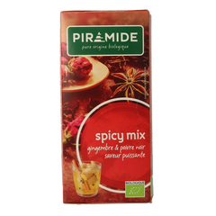 Piramide Spicy thee eko bio 20 Zakjes